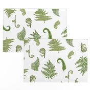 Woodland Ferns-White