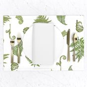 Woodland Ferns-White