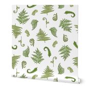 Woodland Ferns-White