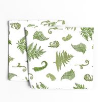 Woodland Ferns-White