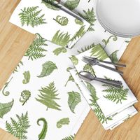 Woodland Ferns-White