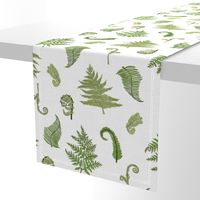 Woodland Ferns-White