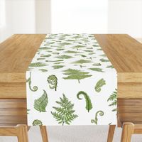 Woodland Ferns-White