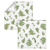 Woodland Ferns-White