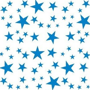 Bright Flag - Stars - Blue on White