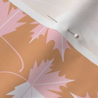 Pink Blush maple leaves 