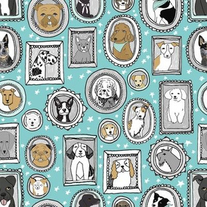 doggo portraits // cute dog, dogs, dog breed, pet, pets, cute dog poodle, terrier, pets, -aqua