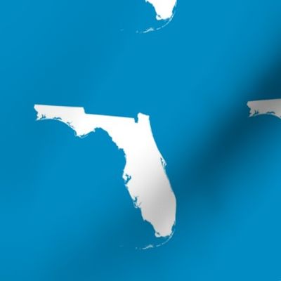 Florida silhouette - 6" white on bright blue 