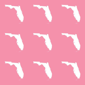 Florida silhouette - 6" white on pink 