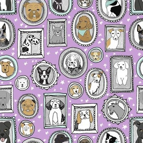 doggo portraits // cute dog, dogs, dog breed, pet, pets, cute dog poodle, terrier, pets, - purple