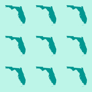 Florida silhouette - 6" teal on mint 