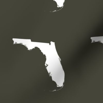 Florida silhouette - 6" white on khaki 