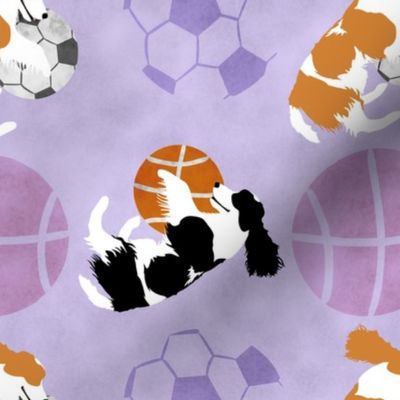 Large Spaniels and sports balls - purple basketball soccer football