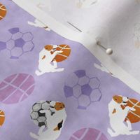 Small Jack Russell terriers and sports balls - purple basketball soccer football
