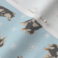 Tiny black and tan Shiba Inu - winter snowflakes