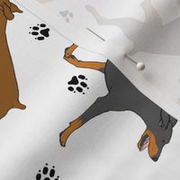 Trotting uncropped Doberman Pinschers and paw prints - white