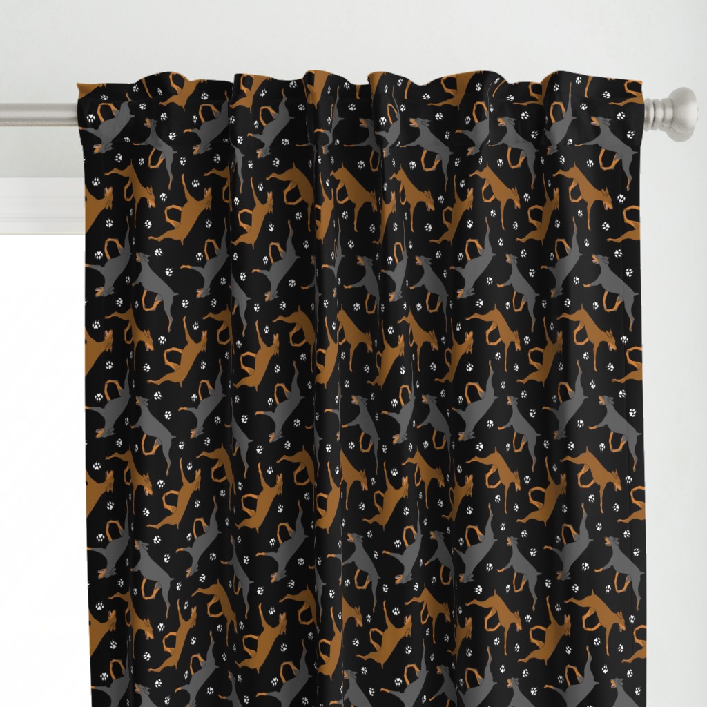 Trotting uncropped Doberman Pinschers and paw prints - black