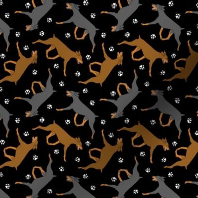 Tiny Trotting uncropped Doberman Pinschers and paw prints - black