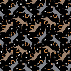 Trotting uncropped dilute Doberman Pinschers and paw prints - black