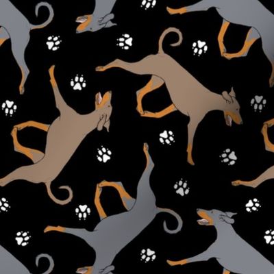 Trotting natural dilute Doberman Pinschers and paw prints - black