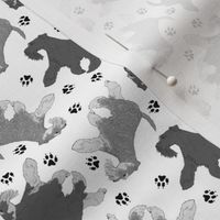 Tiny Trotting natural Miniature Schnauzers and paw prints - white