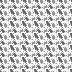 Tiny Trotting uncropped Miniature Schnauzers and paw prints - white