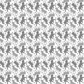 Tiny Trotting uncropped Standard Schnauzers and paw prints - white
