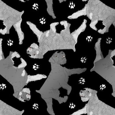 Trotting uncropped Standard Schnauzers and paw prints - black