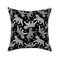 Trotting uncropped Standard Schnauzers and paw prints - black