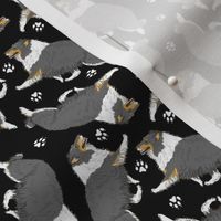 Tiny Trotting tricolor rough coated Collies and paw prints - black