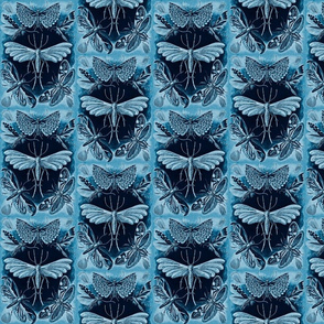 Ernst Haeckel Tineida Moths Vintage Blue