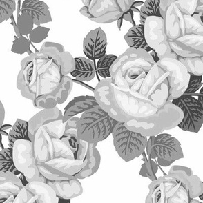 Vintage roses in black and white / grey scale