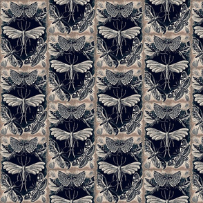 Ernst Haeckel Tineida Moths Silver