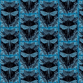 Ernst Haeckel Tineida Moths Prussian Blue