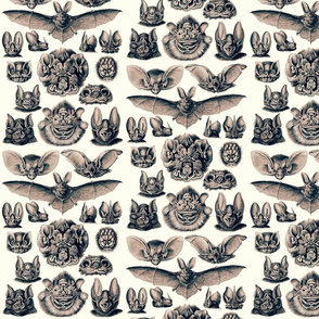 Ernst Haeckel Bats Dusk