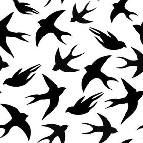 Swallow, black and white