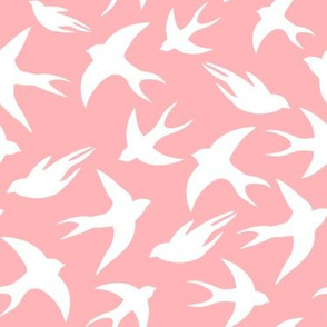 Swallow, pink