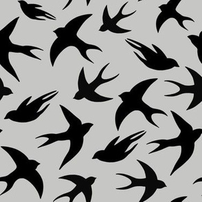 Swallow, dark grey