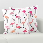 FUNky Flamingo