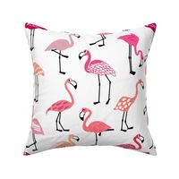 FUNky Flamingo