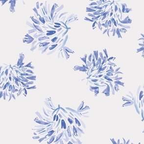 Blue Agapanthus Print