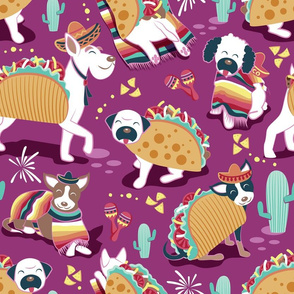 Normal scale // Mexican tacos dogs team // dark pink