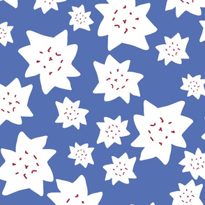 Star-flowers-on-blue-BG