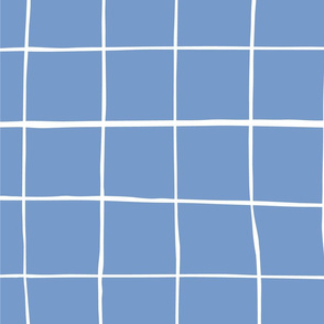 Wonky-grid-on-blue-BG