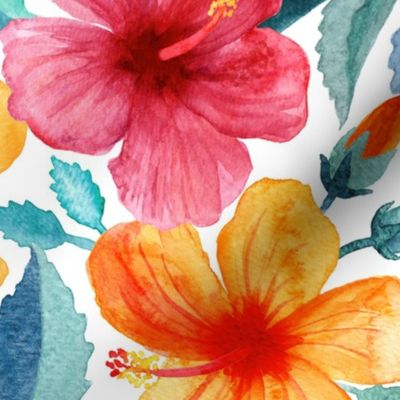 Colorful Watercolor Hibiscus on Clean White - large print