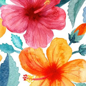 Colorful Watercolor Hibiscus on Clean White - large print