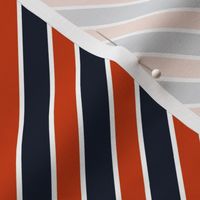 Chicago Bears Stripes team colors