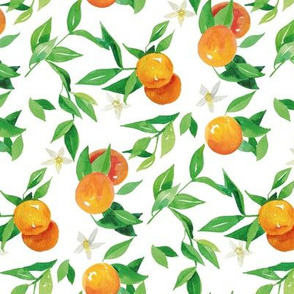 Watercolor Oranges and flowers - on white