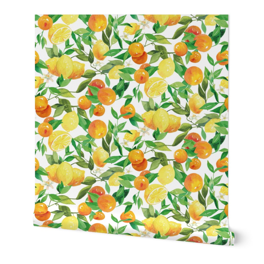 Watercolor Oranges and Lemons - on white