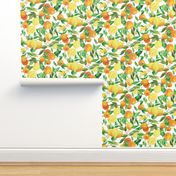 Watercolor Oranges and Lemons - on white